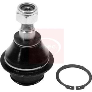 Apec Ball Joint Lower AST0021