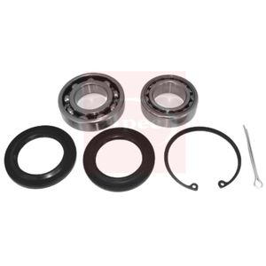 APEC Wheel Bearing Kit Rear AWB1376