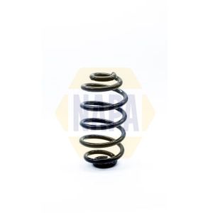 NAPA Coil Spring Rear NCS1172