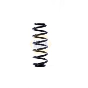 NAPA Coil Spring Rear NCS1391