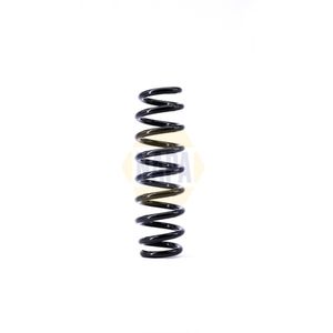 NAPA Coil Spring Rear NCS1393