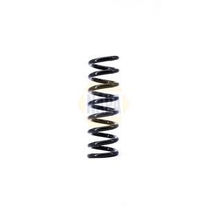 NAPA Coil Spring Rear NCS1395