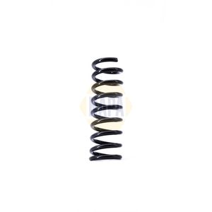 NAPA Coil Spring Rear NCS1401