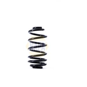 NAPA Coil Spring Rear NCS1418