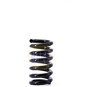 NAPA Coil Spring Front NCS1429