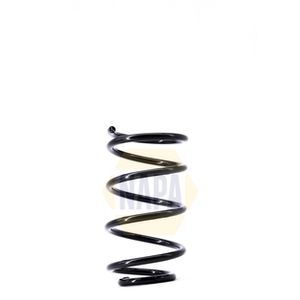 NAPA Coil Spring Front NCS1463
