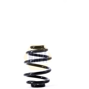 NAPA Coil Spring Rear NCS1469