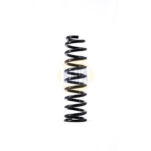 NAPA Coil Spring Front NCS1493