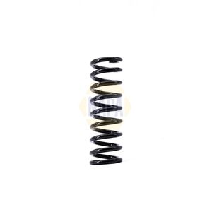 NAPA Coil Spring Rear NCS1542