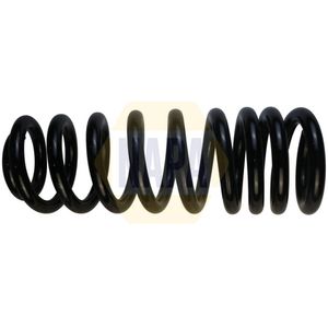 NAPA Coil Spring Rear NCS1769
