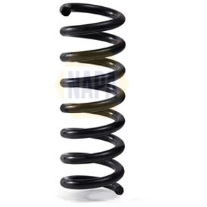 NAPA Coil Spring Rear NCS2062