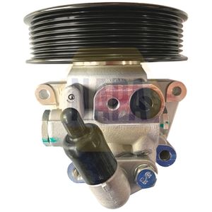 NAPA Power Steering Pump NPS1008