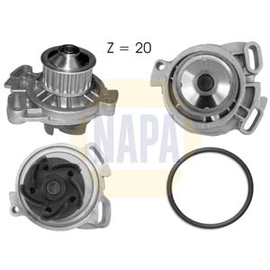 NAPA Water Pump NWP1007