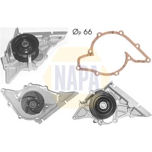 NAPA Water Pump NWP1029