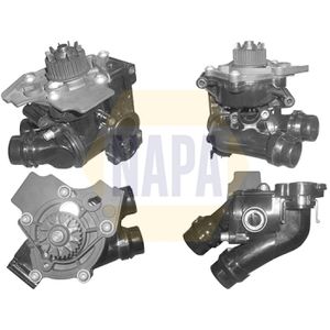 NAPA Water Pump NWP1051