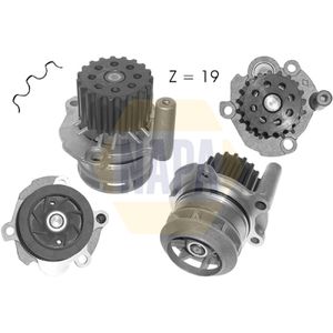 NAPA Water Pump NWP1062