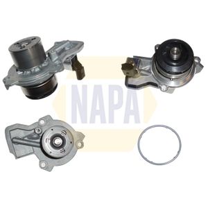 NAPA Water Pump NWP1067