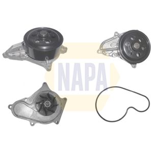 NAPA Water Pump NWP1231