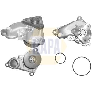 NAPA Water Pump NWP1261