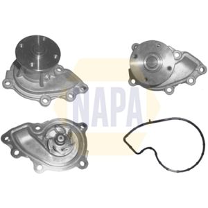 NAPA Water Pump NWP1262