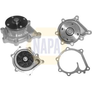 NAPA Water Pump NWP1278