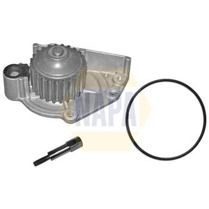 NAPA Water Pump NWP1342