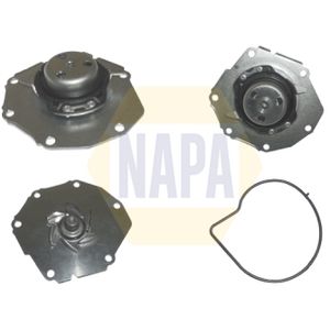 NAPA Water Pump NWP1539