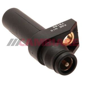Cambiare RPM / Crankshaft Sensor VE363119
