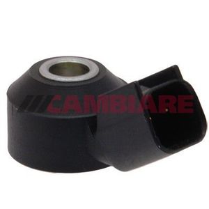 Cambiare Knock Sensor VE369007