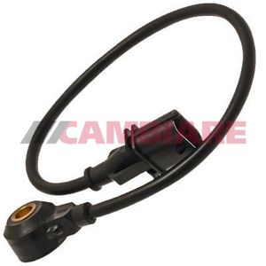 Cambiare Knock Sensor VE369018