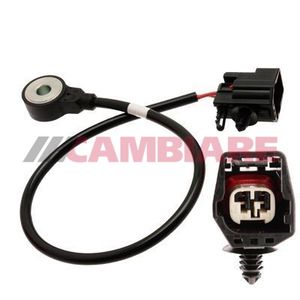 Cambiare Knock Sensor VE369043