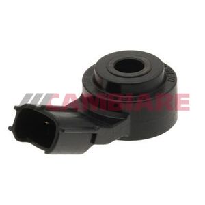 Cambiare Knock Sensor VE369051