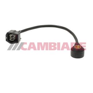 Cambiare Knock Sensor VE369055