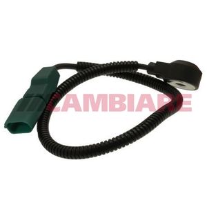 Cambiare Knock Sensor VE369058