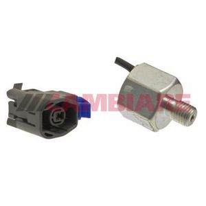 Cambiare Knock Sensor VE369059