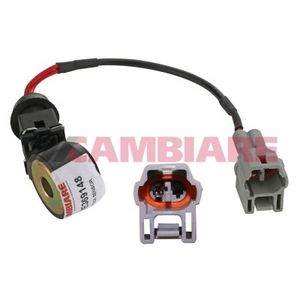 Cambiare Knock Sensor VE369148
