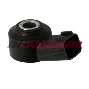 Cambiare Knock Sensor VE369151