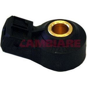 Cambiare Knock Sensor VE369152