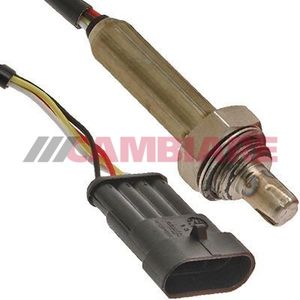 Cambiare Lambda Sensor VE381021