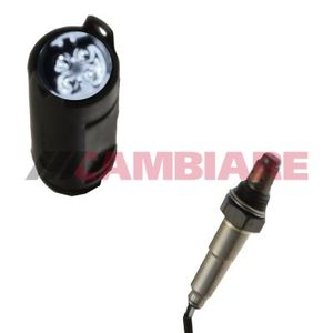 Cambiare Lambda Sensor VE381084