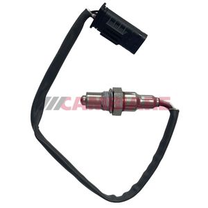Cambiare Lambda Sensor Pre Cat VE381840