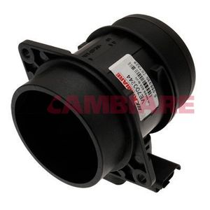Cambiare Air Mass Sensor VE700244